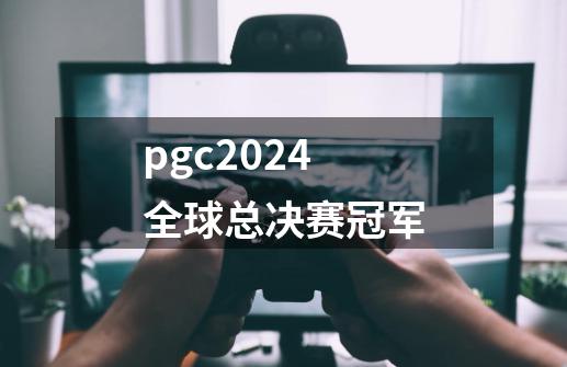 pgc2024全球总决赛冠军-第1张-游戏资讯-神采网