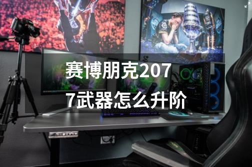 赛博朋克2077武器怎么升阶-第1张-游戏资讯-神采网