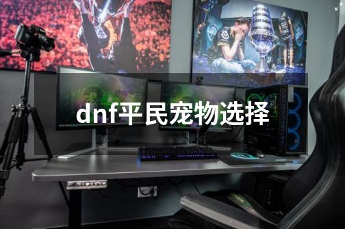 dnf平民宠物选择-第1张-游戏资讯-神采网