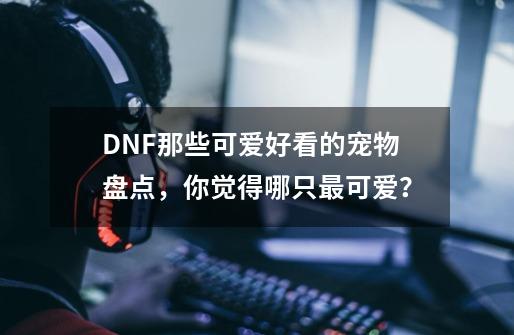 DNF那些可爱好看的宠物盘点，你觉得哪只最可爱？-第1张-游戏资讯-神采网