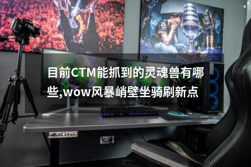 目前CTM能抓到的灵魂兽有哪些,wow风暴峭壁坐骑刷新点-第1张-游戏资讯-神采网