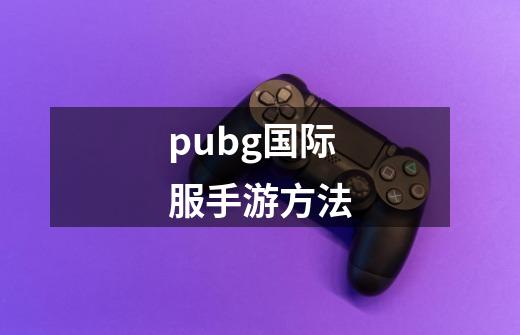 pubg国际服手游方法-第1张-游戏资讯-神采网