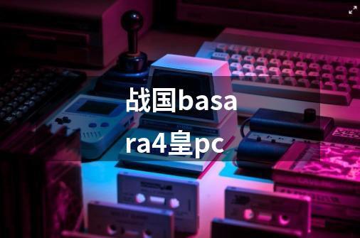 战国basara4皇pc-第1张-游戏资讯-神采网