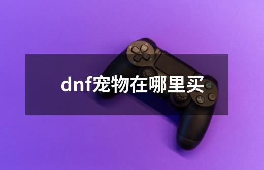 dnf宠物在哪里买-第1张-游戏资讯-神采网