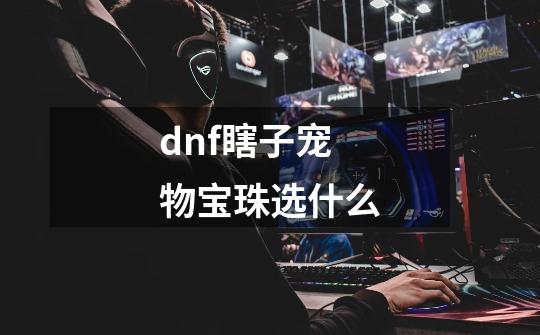 dnf瞎子宠物宝珠选什么-第1张-游戏资讯-神采网