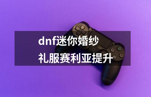 dnf迷你婚纱礼服赛利亚提升-第1张-游戏资讯-神采网